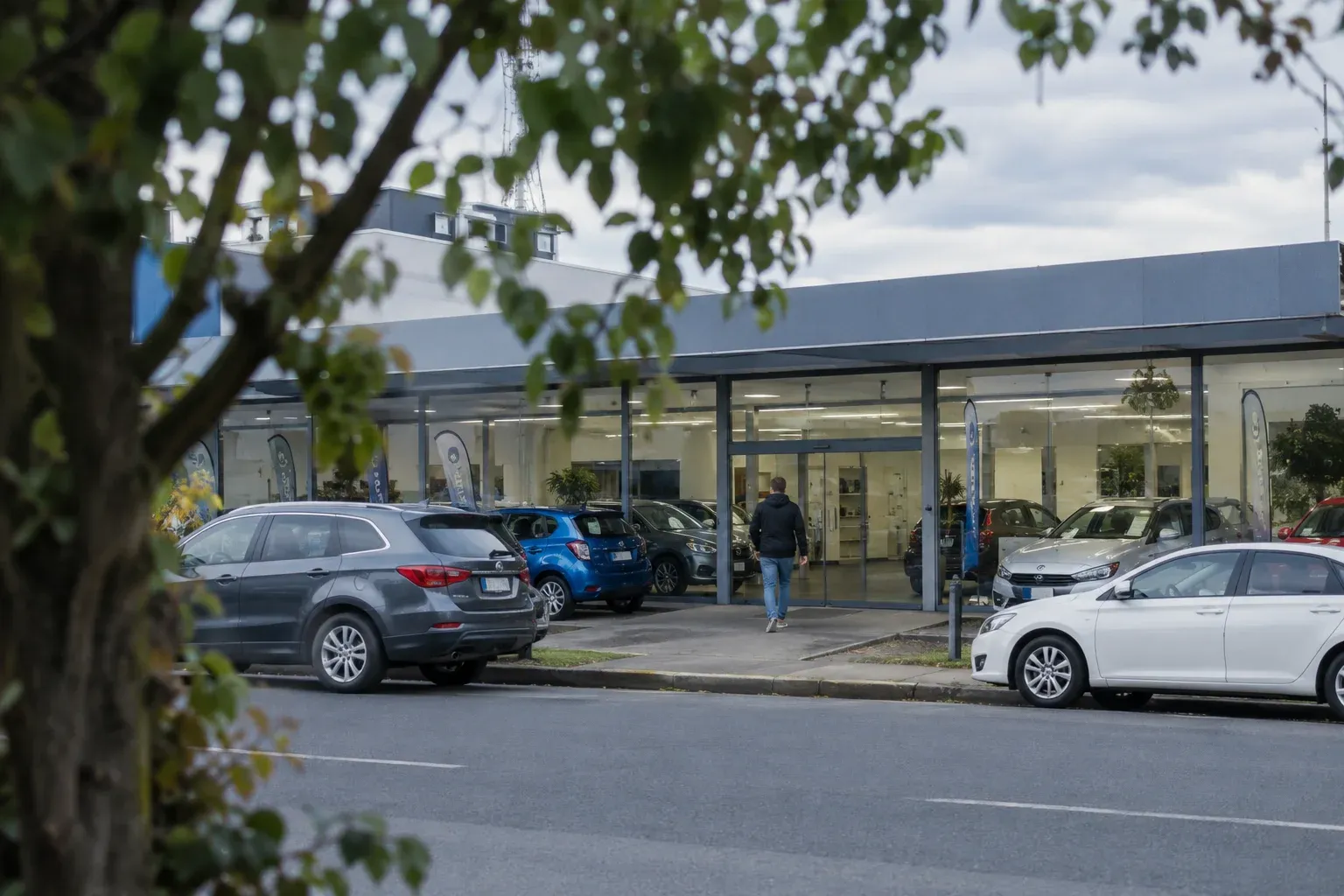A modest car dealership seen across the road through foreground tree branches, a customer entering